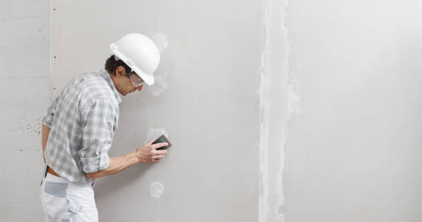 Best Drywall Sanding and Smoothing  in Gleneagle, CO